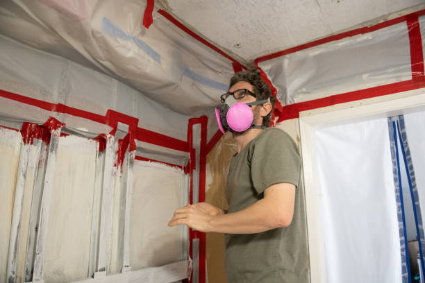 Best Residential Mold Inspection & Testing  in Fish Hawk, FL