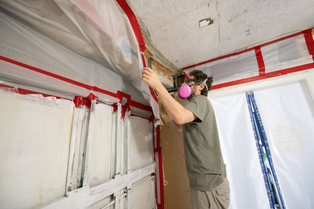 Mold Remediation for Vacation Homes in Fish Hawk, FL